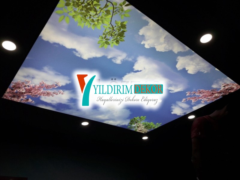 Led gizli ışıklı asma tavan Gökyüzü resimli