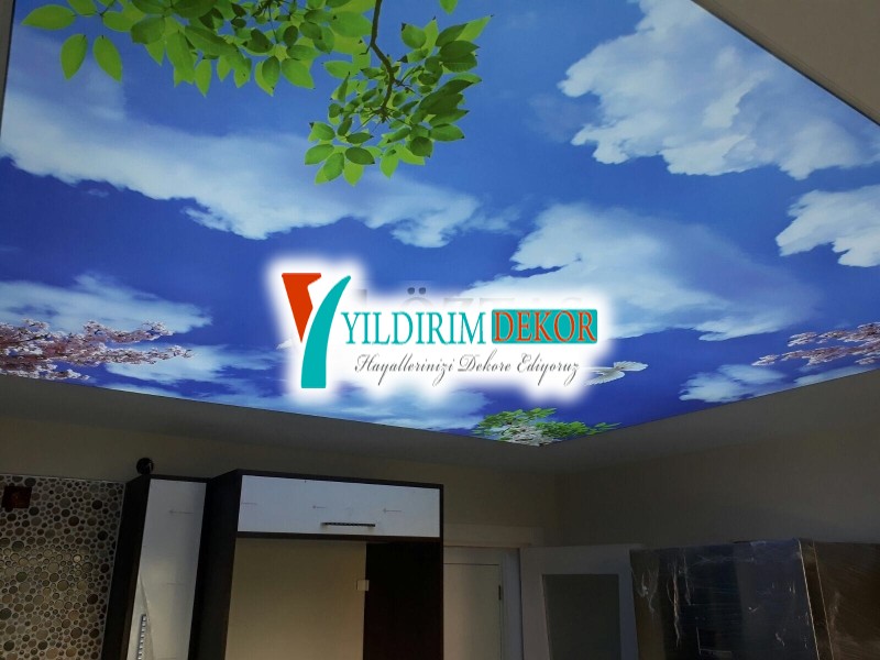 Led gizli ışıklı asma tavan Gökyüzü resimli