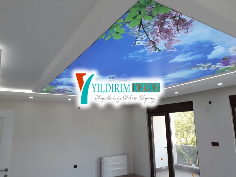 Led gizli ışıklı asma tavan Gökyüzü resimli