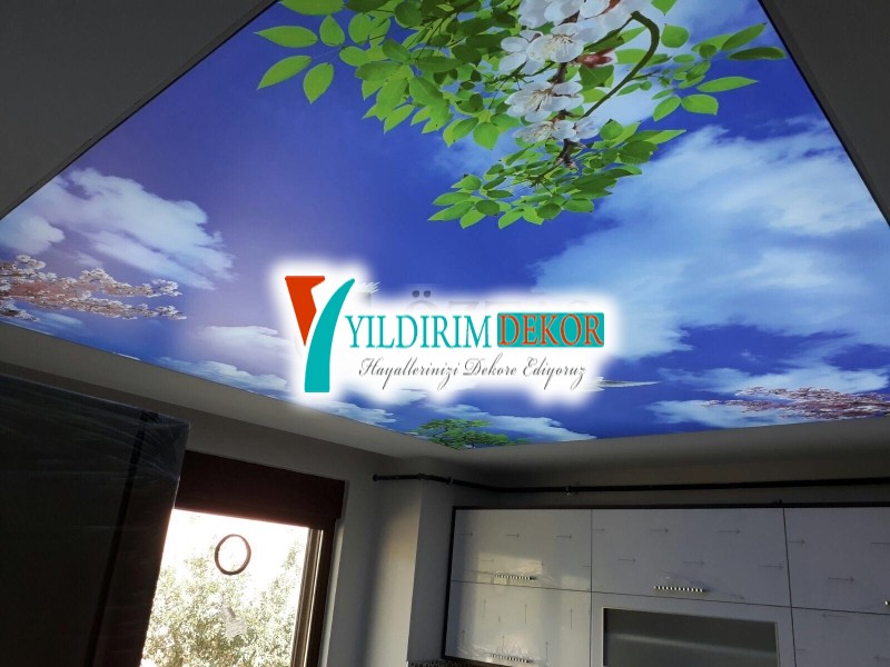 Led gizli ışıklı asma tavan Gökyüzü resimli