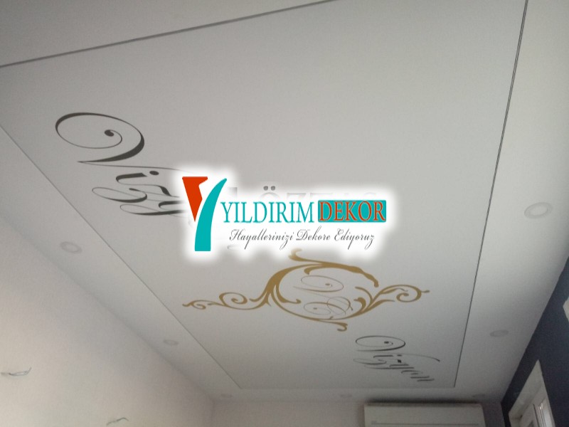 Vizyon gergi tavan çalışması