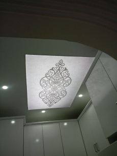 Vizyon gergi tavan �al��mas�