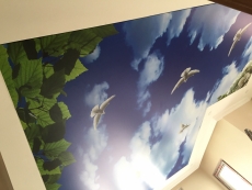 Bayra�pa�a gergi tavan barisol tavan resimli led tavan