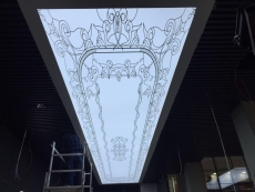 Transparan Gergi Tavan