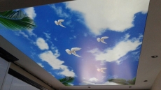 �sk�dar'da G�ky�z�nde g�vercin desenli Gergi tavan