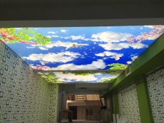 En g�zel Gergi tavan modelleri