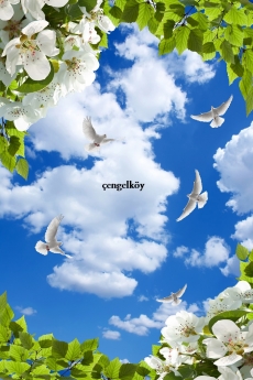 G�ky�z�/bitki
