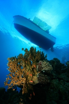 Su Alt� Resimleri