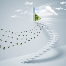 Desen ve �ekiller gergi tavan modelleri