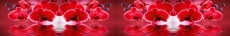 3D  Mutfak Tezgah Aras�