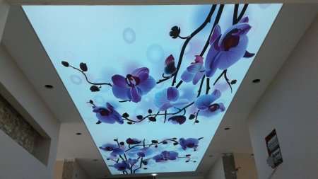 Gergi, tavanlar, neden ,profesyoneller, taraf�ndan, kurulmal�d�r?