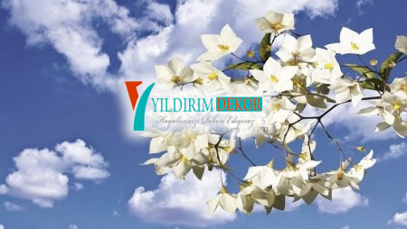 gergi tavan, renk, oda, malzemesi, tasar�m�