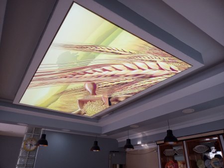 Gergi Tavan, maliyet, 2023, fiyatlar, ne kadar?